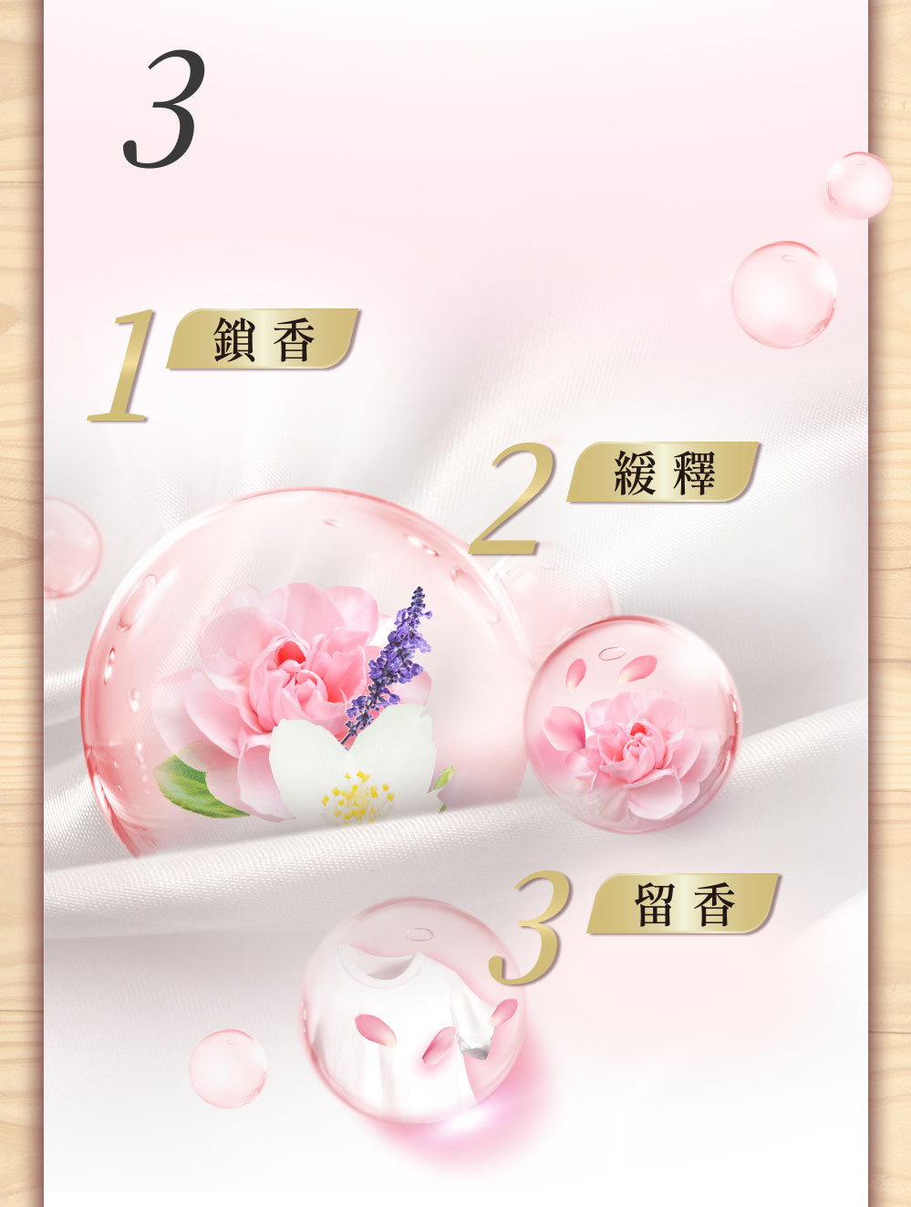 section-4 背景圖